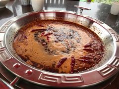 -马帮寨院坝火锅(龙港公园店)