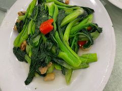生炒菜心-姚林轩