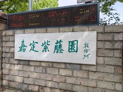 -嘉定紫藤园