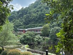 -桃花岭景区