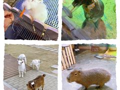 -太阳岛度假酒店