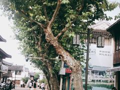 -檀园
