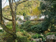 -雁南飞茶田景区