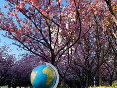 -苏州河梦清园环保主题公园