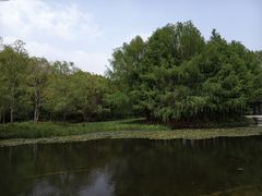 -巡塘古镇