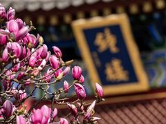 -西安市广仁寺