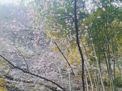 -十九峰景区