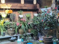 -龙姐私房菜(和顺古镇店)