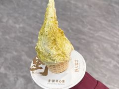 -野人先生现做冰淇淋(西安赛格店)