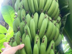 -金隅凤山酒店
