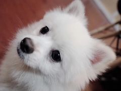 -零几体验diy皮具工作室(振业城店)