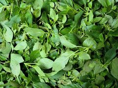 -竹上云想餐厅民宿