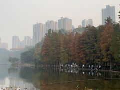 -重庆彩云湖湿地公园