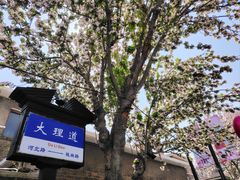 -民园广场