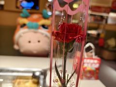 -海底捞火锅(坪山益田假日广场店)