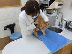 -美联众合动物医院·24h京西诊疗中心