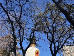 -护国法轮寺