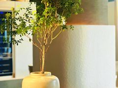 -柴门·头啖汤(天安千树店)