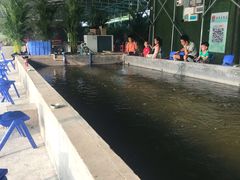 -会江钓鱼钓虾烧烤场