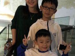 -中国西峡恐龙遗迹园