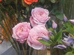 -一花一忆(松榆里市场店)