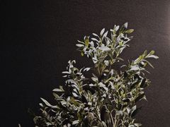 -Wave 未(万科广场店)