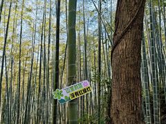 -东明山森林公园