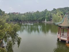 -东莞市可园博物馆