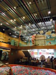 -泡泡米POPOME益智乐园(洪殿花园旗舰店)