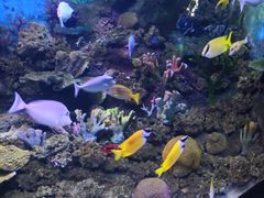 -常州海昌海洋探索馆