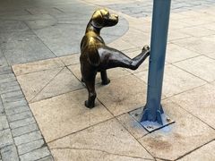 -中粮·祥云小镇