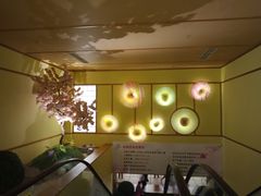 -汤泉良子(金源店)