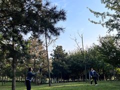 -洨河生态公园