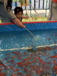 -萌宠亲子动物乐园(槐房万达店)