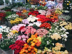 -双季花艺园艺市场(浦东店)