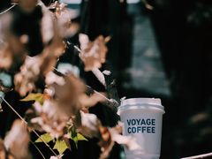 -VOYAGE COFFEE(杨梅竹店)