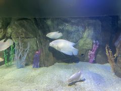 -泉城欧乐堡海洋极地世界