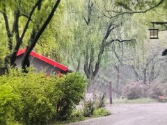 -北陵公园