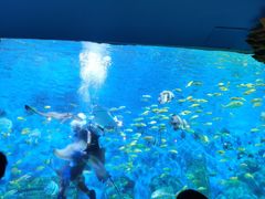 -横店影视城梦幻谷园区