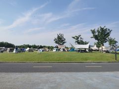 -春花秋色城市公园