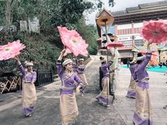 -西双版纳原始森林公园