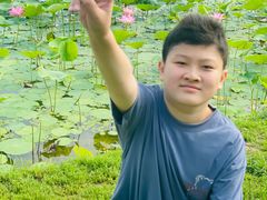 -丁香湖公园