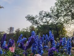 -人民公园(罗湖区)