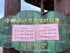 -太阳部落