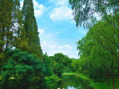 -昆山城市生态森林公园