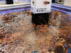 -盒马X会员店(上海森兰商都店)