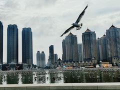 -星海广场