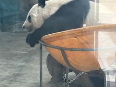 -石家庄市动物园