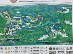 -野象谷景区