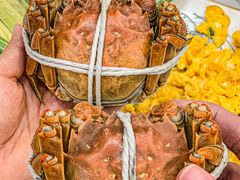 -蟹天蟹地农家菜·阳澄湖大闸蟹(浅水湾店)